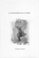 La velocidad de la caída